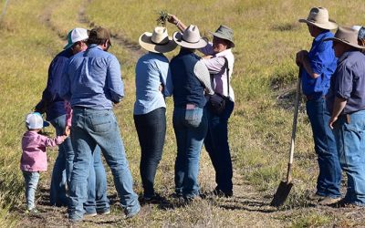 Graziers walked paddocks with a shovel to dig up clumps of soil to learn more about soil structure. They are adopting grazing management regimes to help restore hydrological balance and build new topsoil.