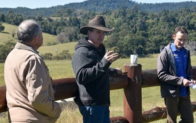 Workshop host Mick Sheehy, centre, talks about how he is trying to manage GRT on his property. Pictured is DAF's GRT specialist John Reeve, left, and NQ Dry Tropics' LDC Land Management Support Coordinator Rodger Walker.