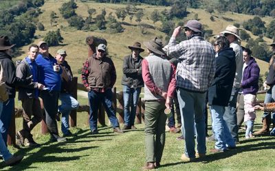 Landholders from Crediton, Eungella and Dalrymple Heights discuss ways to manage Giant rat's tail grass at a GRT workshop held at Crediton.