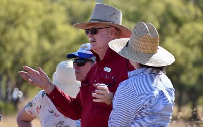 NQ Dry Tropics CEO Scott Crawford, left, and DAF principal extension officer (grazing) Bob Shepherd.