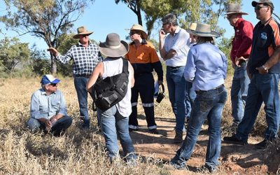 The project panel regularly goes on field visits to see firsthand the great work accomplished by graziers to improve land condition and water quality. Ahead of July's meeting, the panel visited Mt Wickham. Pictured, backs facing camera, are (from left) grazier Garlone Moulin, LDC project manager Lisa Hutchinson, facing camera from left, NQ Dry Tropics CEO Scott Crawford, grazier Bob Harris, Verterra's Peter Wilkinson, CSIRO scientist Christian Roth, DAF's Bob Shepherd and grazier Buster O'Loughlin.