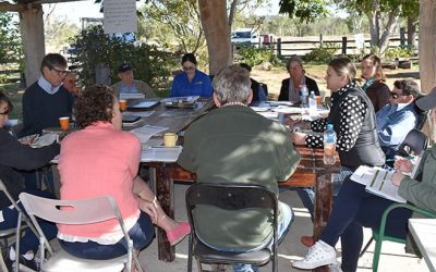 A multi-stakeholder project panel, including NQ Dry Tropics, state government, local government, science and grazier representatives, provides oversight of planning, delivery and review of the LDC project.