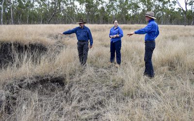 From left, John Day, LDC acting Landscape remediation officer Sheyanne Frisby and NQ Dry Tropics' Rod Kerr on Tabletop Station, near Collinsville.