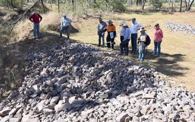 Project panel members inspect gully remediation works at Mt Wickham.