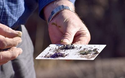 Soil texture, organic matter and chemical make-up aff ect the way erosion develops, so it is wise to conduct a soil test on eroding soils to help understand the problem and define the best solution to stabilise the active erosion and prevent further damage occurring.