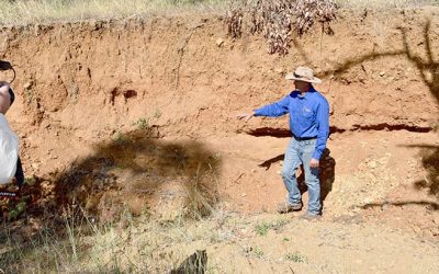 Sonoma Station grazier Shane Watts indicates how much soil has been lost to erosion in a gully on his property.