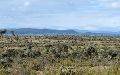 Looking out over the country as we leave Glenden Station.