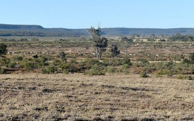 Heading towards Glenden.