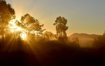 Sunrise near Collinsville.
