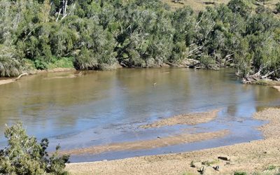 The picturesque Bowen River.