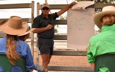 Dr Ian Braithwaite explains foetal ageing in cattle, and how to integrate the learned skills and information into decision making to increase livestock efficiency and performance, business profitability and landscape resilience.