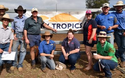 NQ Dry Tropics' LDC Breeder management and pregnancy testing workshop participants, from left, Roxanne Morgan, Greg Lennox, Lyle Gillham, Dr Ian Braithwaite, Sheridan Callcott, Vivian Finlay, Emily Page, Ness Allen, Brendan Smith, Will Fordyce. The two-day workshop was held at Glenden Station, near Glenden.