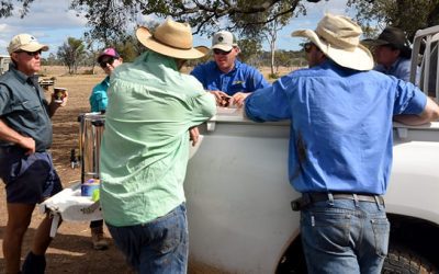 Chewing the fat over morning tea, from left, Ian Braithwaite, Emily Page, of Dindus Station, NQ Dry Tropics LDC Senior Grazing field officer Brendan Smith, Lyle Gillham, Glenden Station, and with back facing camera, Will Fordyce (blue shirt), Hillalong Station, and Greg Lennox, of Kemmis Creek Station.