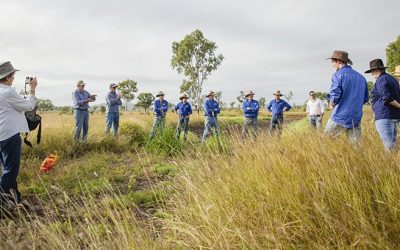 Discussing key grazing land management issues, particularly the linkages between grazing practices, soil health and pasture productivity.