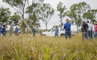 16 NQDT staff members from three program areas, Sustainable Agriculture, Strategy and Partnerships, and Landholders Driving Change, attended a two-day masterclass with industry experts Dick Richardson (Grazing Naturally), Brian Wehlburg (inside Outside Management) and Dr Christine Jones (Amazing Carbon). Pictured at Sonoma Station.