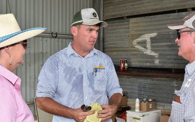 LDC's Lisa Hutchinson, workshop organiser LDC Senior Grazing Officer Brendan Smith and Peter Anderson, Glenlea Downs, near Clermont.