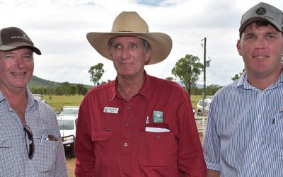 Guest speakers Peter Anderson, Glenlea Downs, and Raymond Stacey, RCS, pictured with workshop organiser LDC Senior Grazing Officer Brendan Smith.