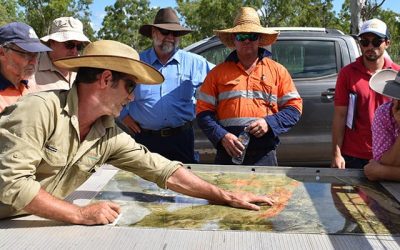 Damon Telfer, Fruition Environmental Consultancy, explains the various gully remediation treatments that are being trialled at Strathalbyn Station, at a 'shared learnings' walking the landscape field day at Strathalbyn. Also pictured, Glenn Dale, Verterra, Peter Wilkinson, Verterra, John Day, Rohan Lucas, Verterra, LDC's Matt Miles and LDC project panel member Garlone Moulin, Mt Pleasant Station.
