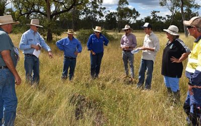 Inspecting a series of actively eroding gullies in sodosol soils at Todsure, from left, Graham Gordon, Bob Shepherd, Carl Groocock, LDC's Adrienne Hall, LDC's Matt Lindsay, LDC's Rodger Walker, Leanne Groocock and Barry Collett.