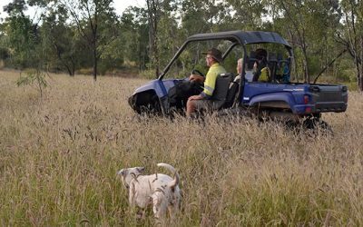 Following Stanley and Judy Fordham to a proposed gully remediation site on their property Emohruo.