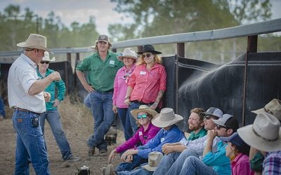 LDC Low Stress Stockhandling course with Jim Lindsay, held at Bowen River Showgrounds in October 2018. Jim Lindsay talks about how to foster an environment of low stress interaction between people and animals.