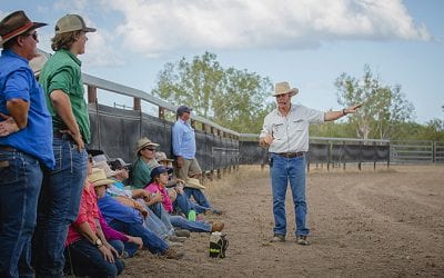 LDC Low Stress Stockhandling course with Jim Lindsay, held at Bowen River Showgrounds in October 2018. Jim Lindsay explains how to foster an environment of low stress interaction between people and animals.