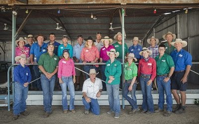 LDC Low Stress Stockhandling course with Jim Lindsay, held at Bowen River Showgrounds in October 2018.