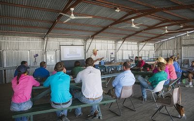 LDC Low Stress Stockhandling course with Jim Lindsay, held at Bowen River Showgrounds in October 2018.