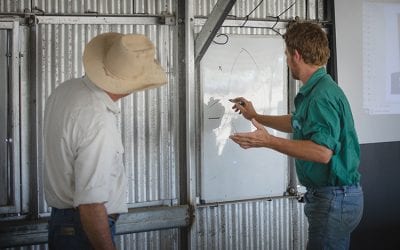 LDC Low Stress Stockhandling course with Jim Lindsay, held at Bowen River Showgrounds in October 2018.