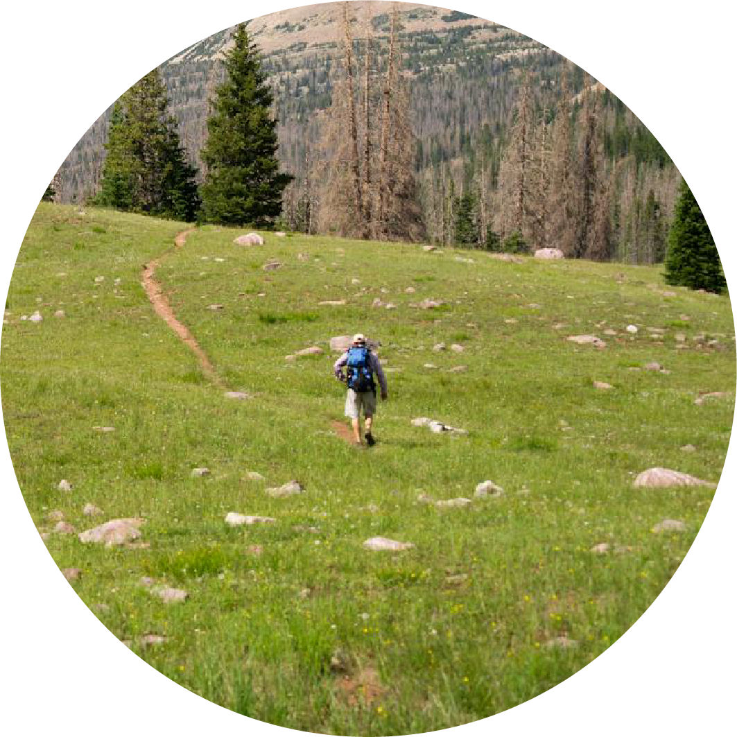Icon of someone hiking away from the camera into the distance