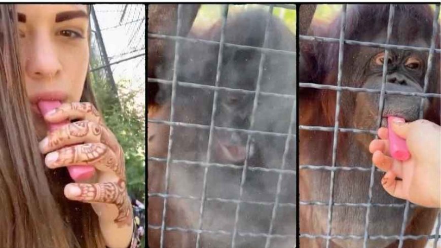 Anastasia Luchkina Beri Vape ke Orangutan, Picu Kontroversi