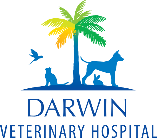 The BEST Vets in Yarrawonga NT 0830 Yarrawonga Veterinarians