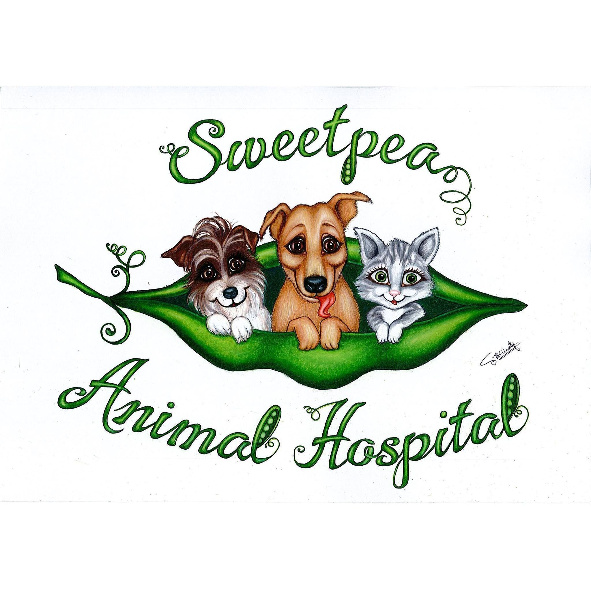 10 BEST Vets in Seal Rocks NSW 2423 Seal Rocks Veterinarians