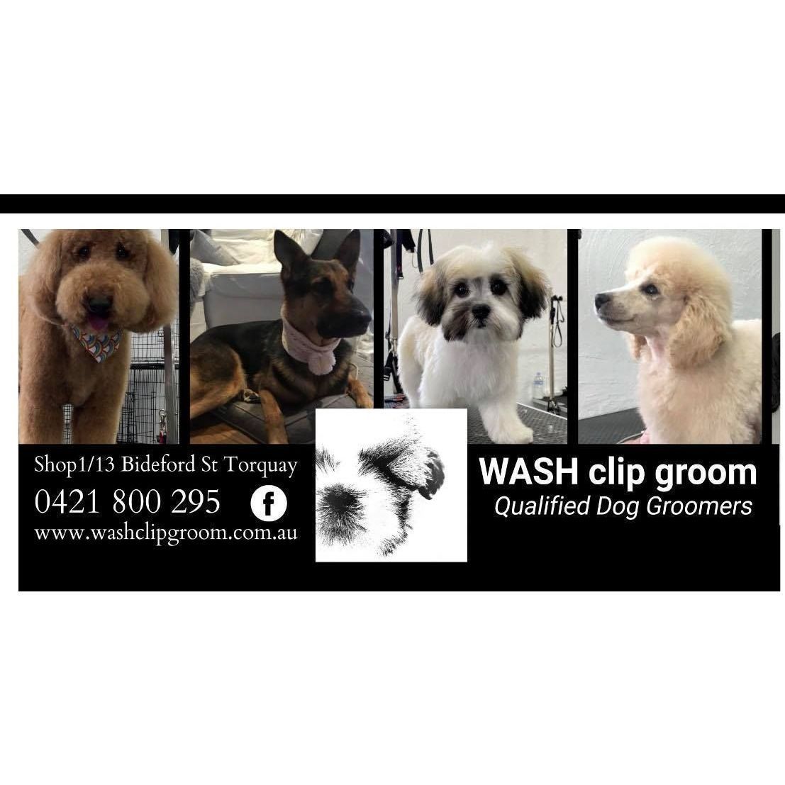 Dogtopia Dog Daycare New Plymouth Clearance Dogtopia Spa Factory Sale