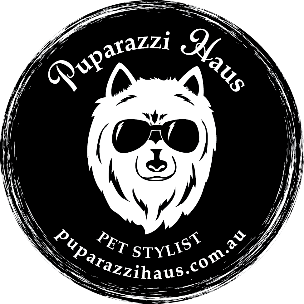 Boarding Kennels Pupstarz Mobile Grooming 10 BEST Pet Care In