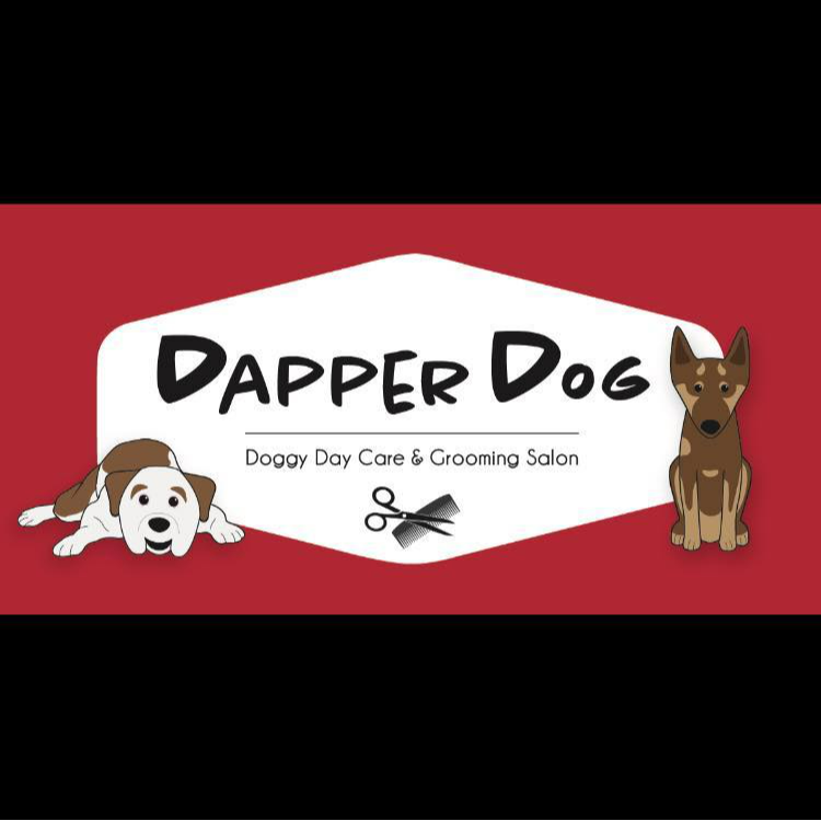 A dapper dog grooming hot sale parlour