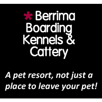 Dog Daycare Horsley Boarding Kennels 10 BEST Cat Boarding