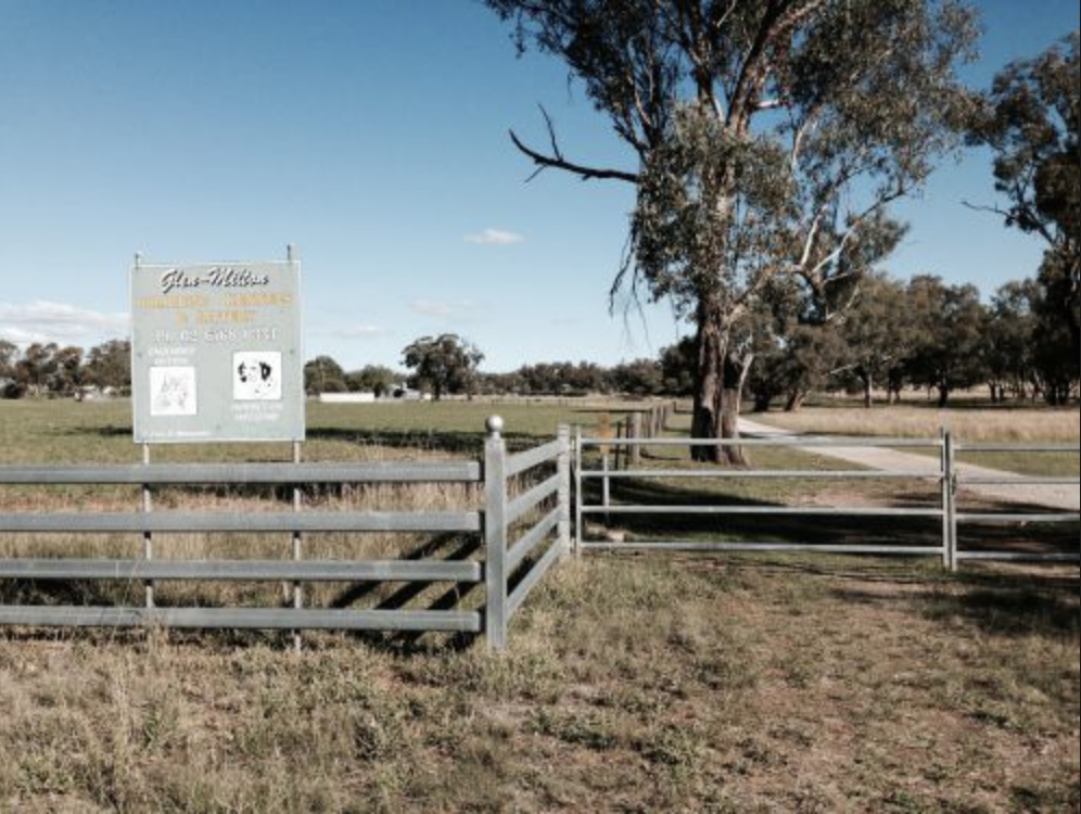 Milton kennels store