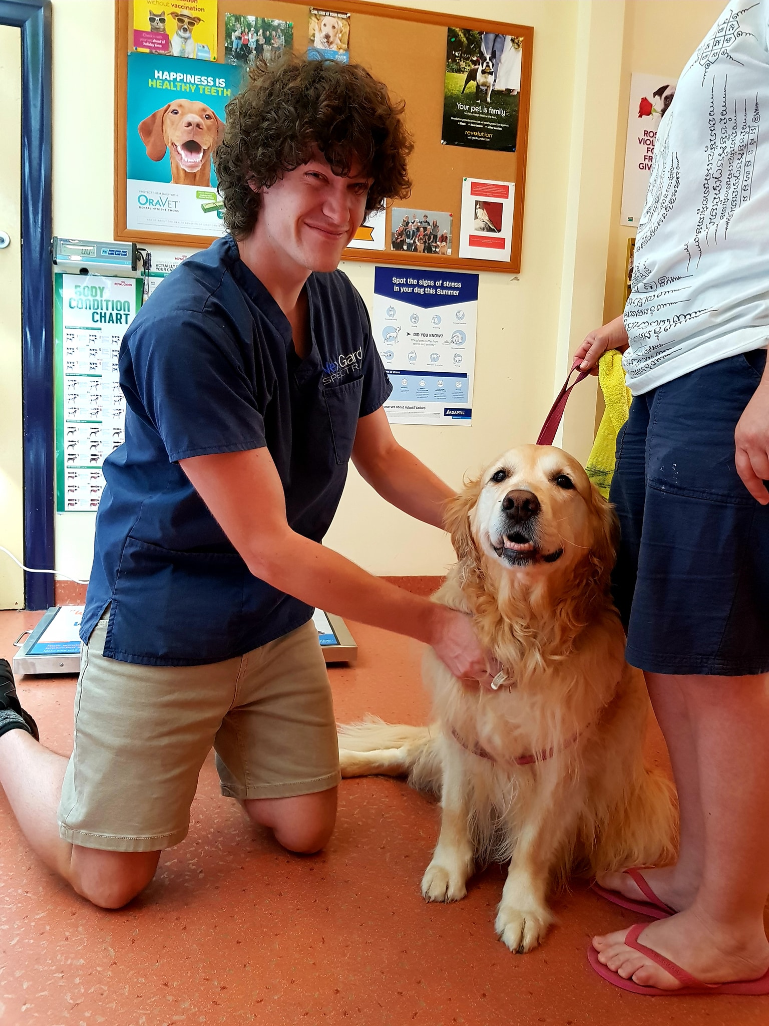 The BEST Vets in California Gully VIC 3556 California Gully