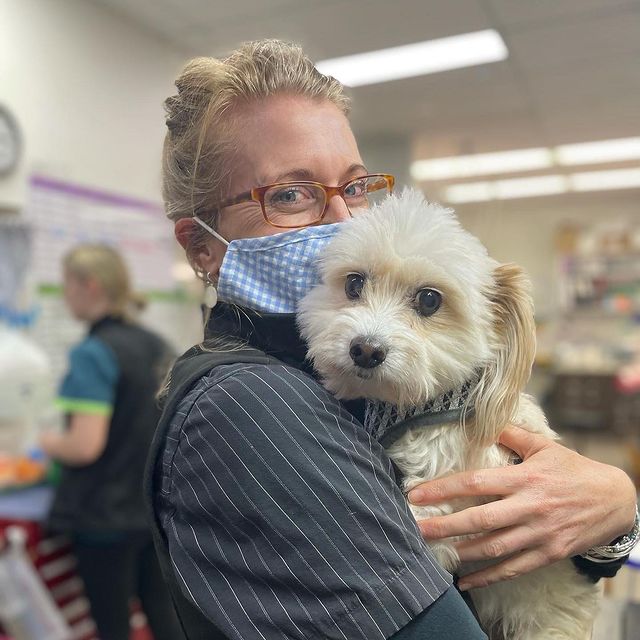 10 BEST Cat Boarding Catteries in Ballarat VIC Localsearch