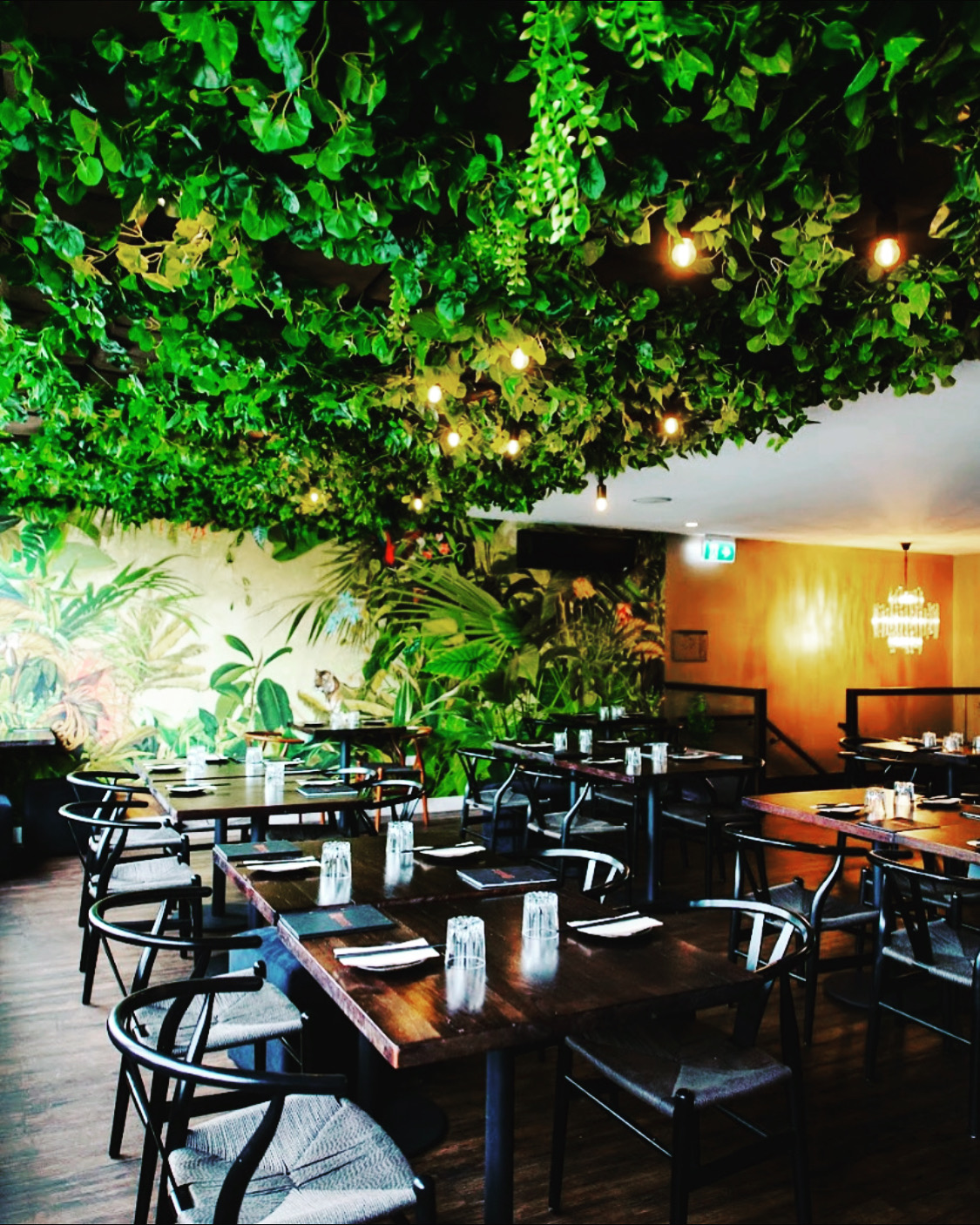 10 BEST Asian Restaurants in Southport QLD 4215 Localsearch