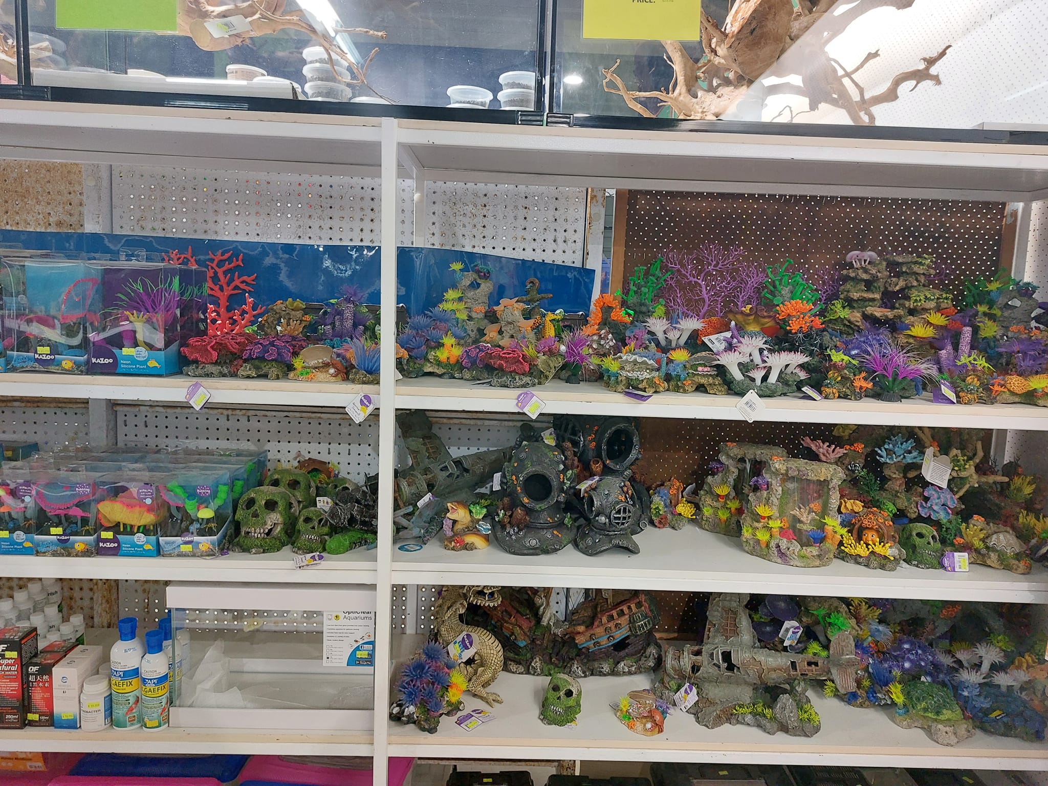 The BEST Pet Food Supplies in Allenstown QLD 4700 Localsearch