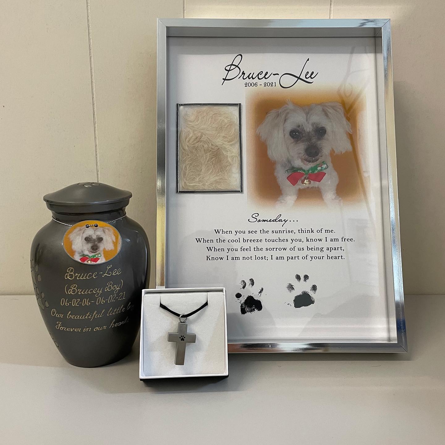 The BEST Pet Cemeteries Crematoriums in Tully QLD 4854 Localsearch