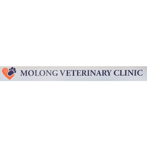 The BEST Vets in Yarrawonga NSW 2850 Yarrawonga Veterinarians