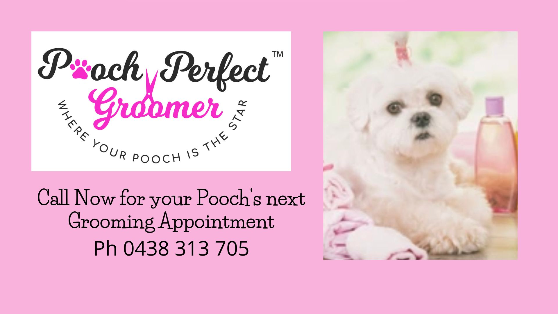10 BEST Dog Grooming in Bungalow QLD 4870 Localsearch