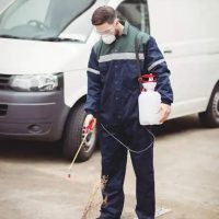 Mackay-QLD-Commercial-Pest-Control