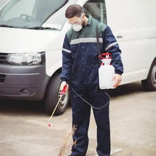 Mackay-QLD-Commercial-Pest-Control