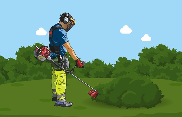 Mackay-QLD-Pest-Spraying