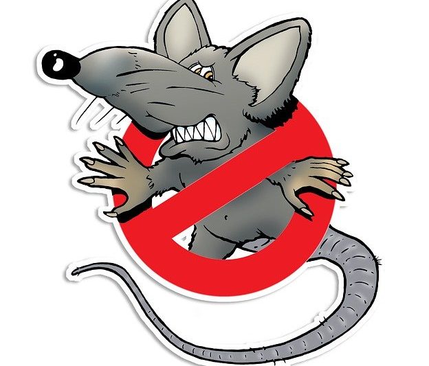 Mackay-QLD-Rodent-Control