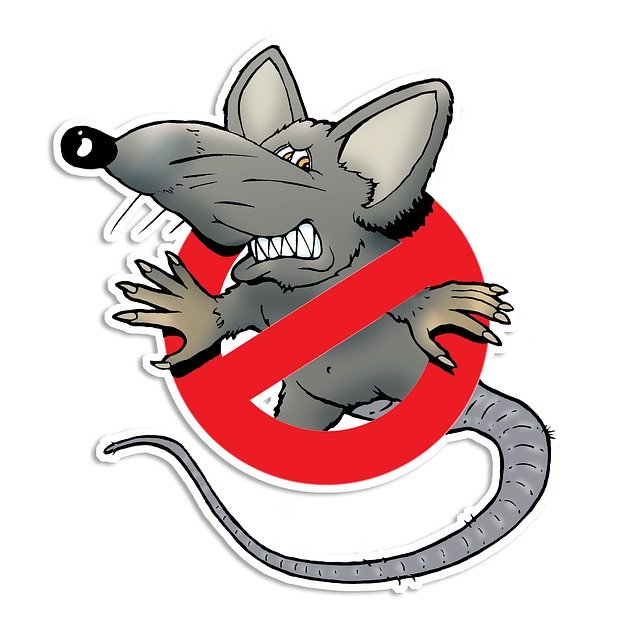 Mackay-QLD-Rodent-Control